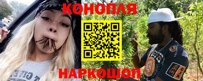СК Севастополь
