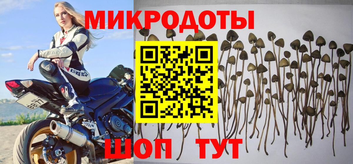 Печора  Псилоцибиновые грибы ЛСД  сколько стоит  Вход с VPN 