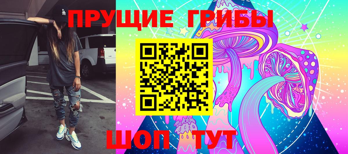 Псилоцибиновые грибы мицелий Печора